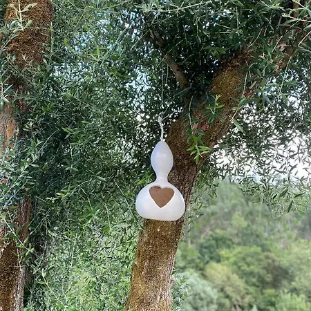 Quinta Do Ribeiro Holiday home *
