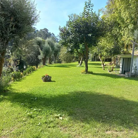 Quinta Do Ribeiro * Arcos de Valdevez