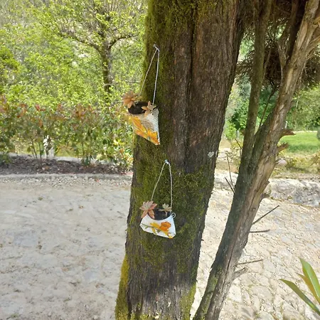 Quinta Do Ribeiro 아르코스 데 발데베즈