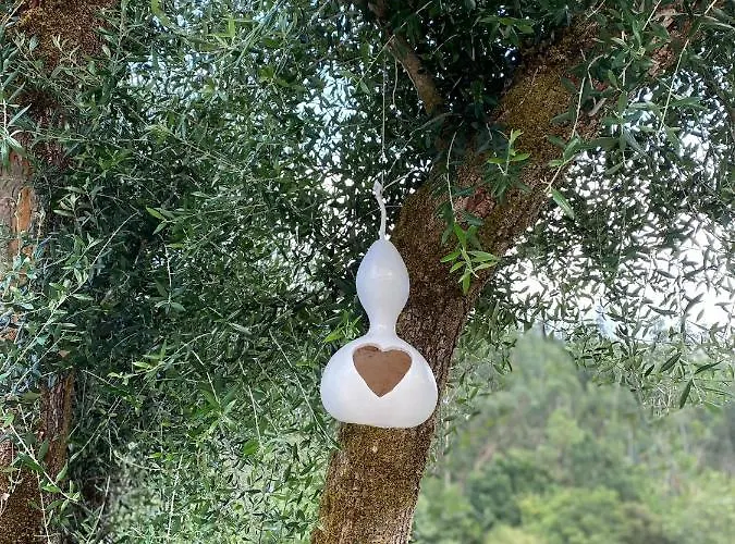 Quinta Do Ribeiro Dom wakacyjny *