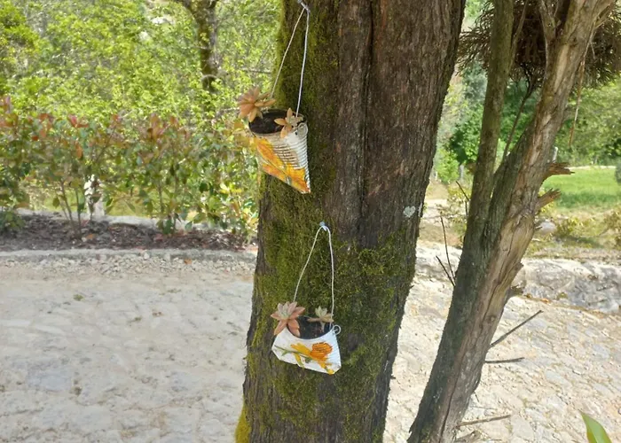 Quinta Do Ribeiro Arcos de Valdevez